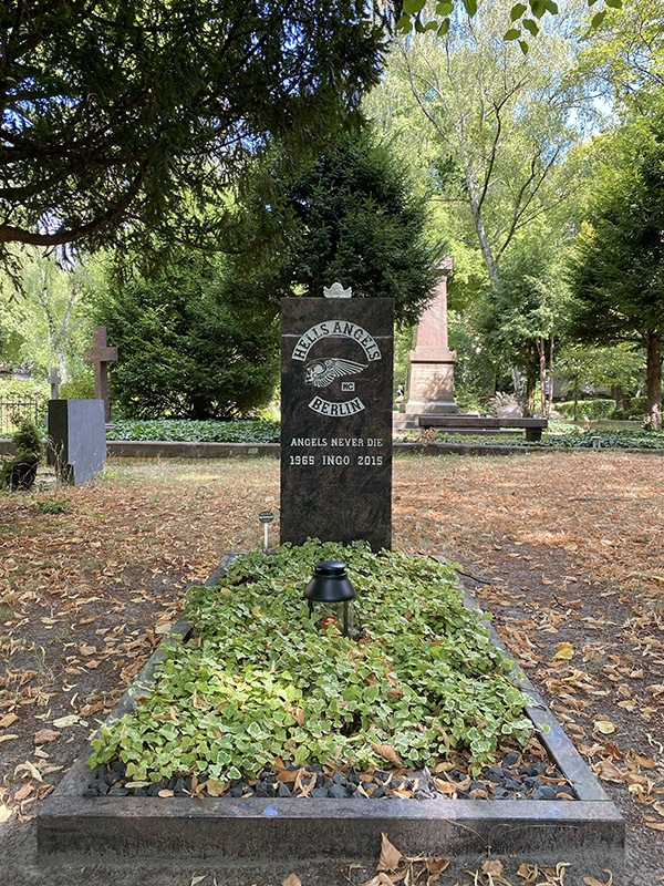 ����: nirpez