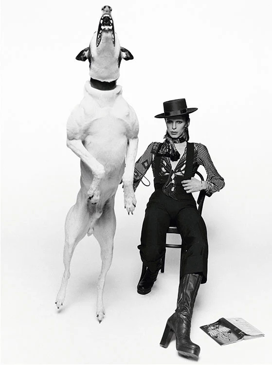 ����� ���� � �����. �����-���� ��� ������� "Diamond Dogs", 1974.