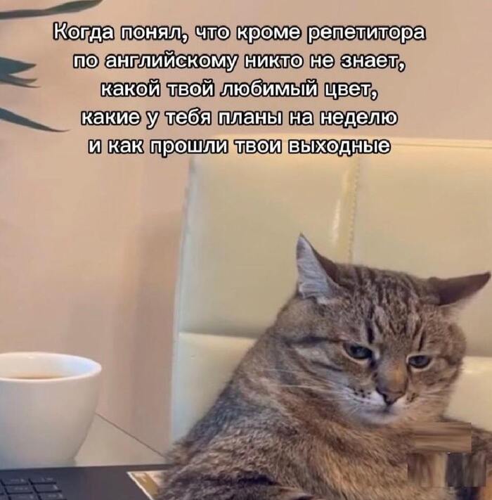 � ������ � ���������� ���