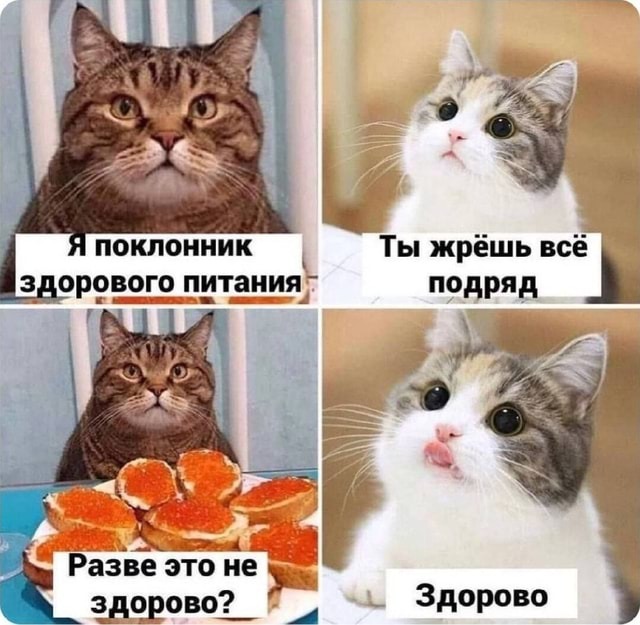 ����� � ����� ���, ��� ���� ����. ����� 2. �������