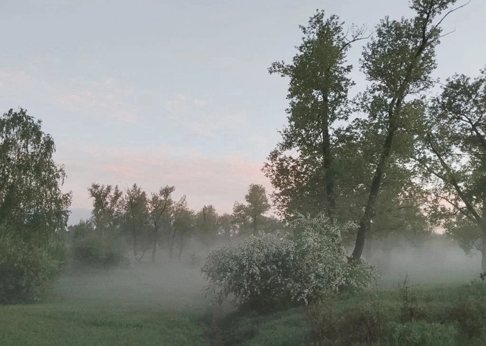 ������� ����