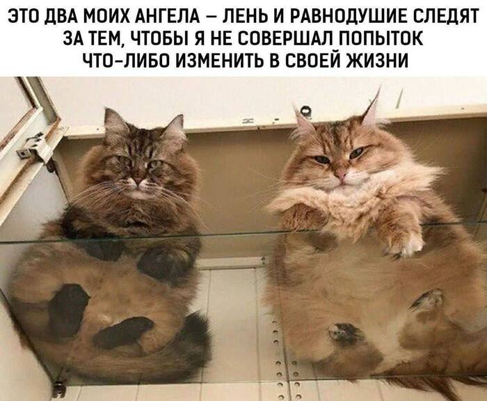 ��  !