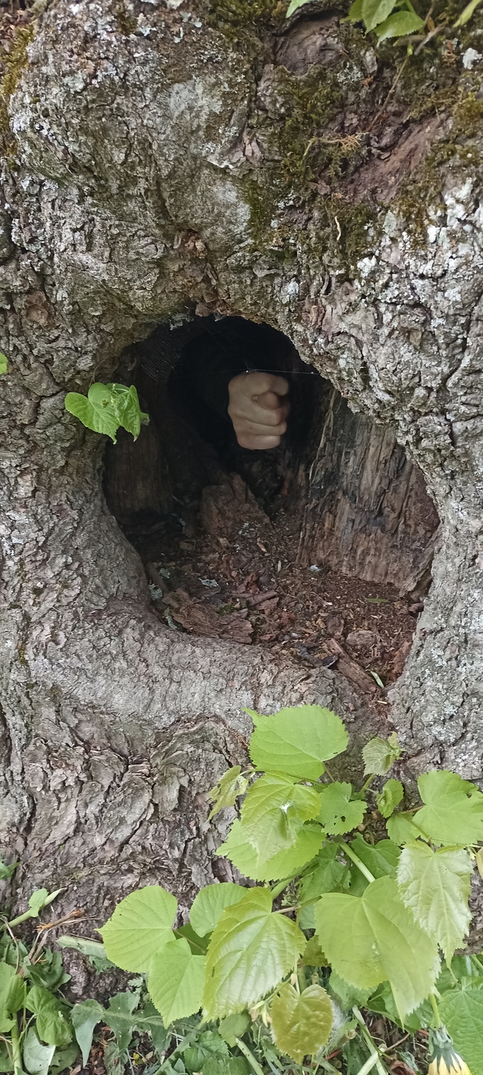 � ����� � ����� ����? 