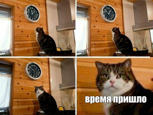 Я смотрю на сегодняшнюю дату, пиша этот пост