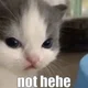 ������ ������������ DoooMM