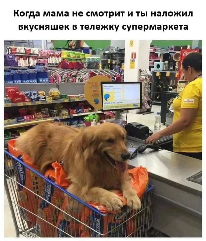 ������