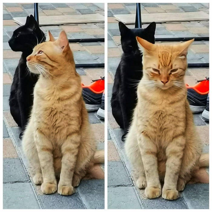 ����� � ��� ����