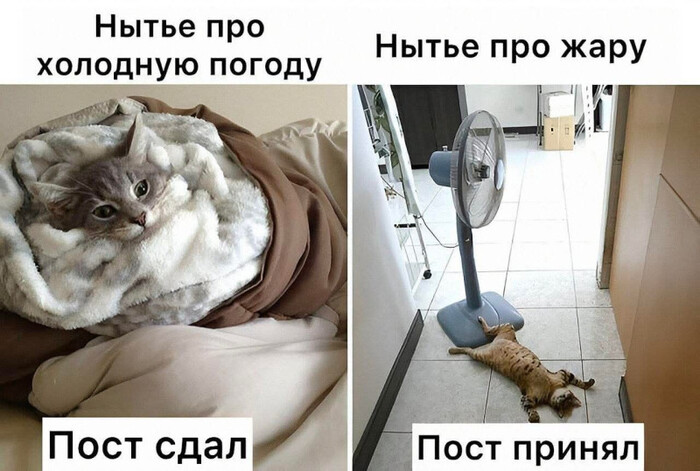 ���������� ����� � �������