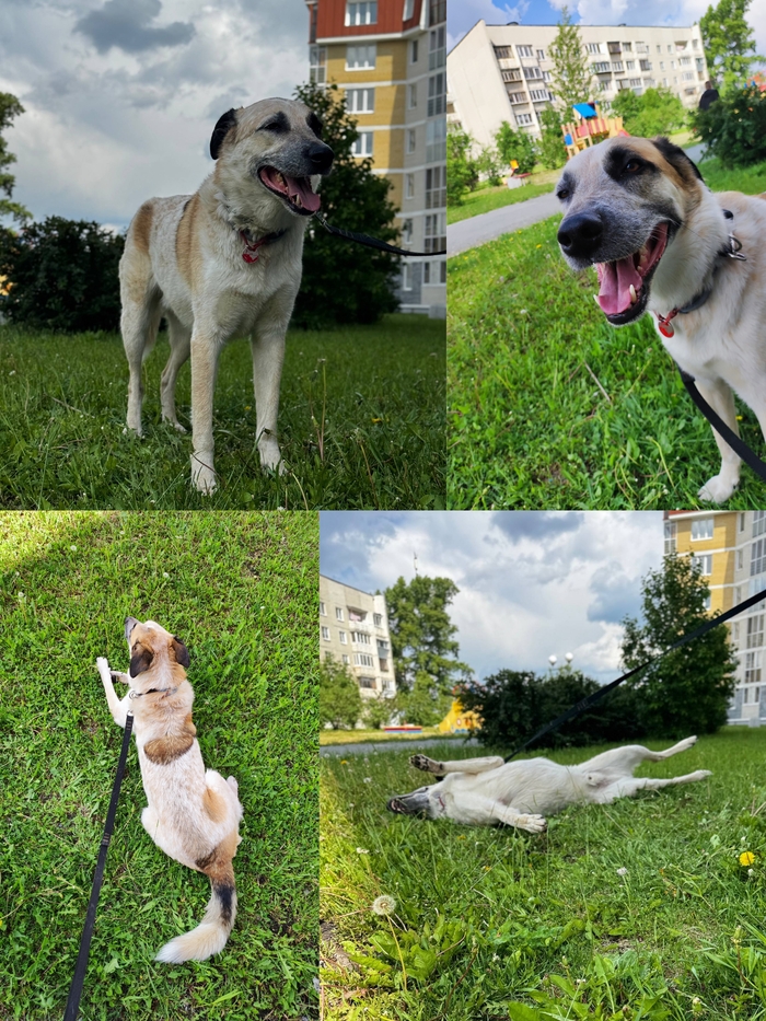 Вот вам фоточка Алексюши и зелени для поднятия настроения