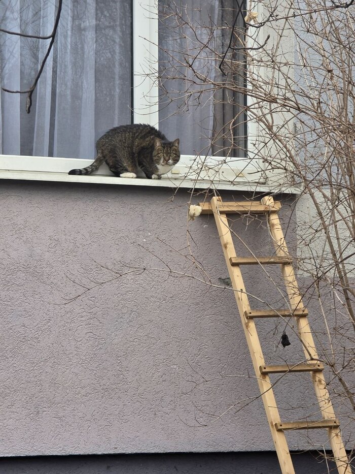 Очень осторожный