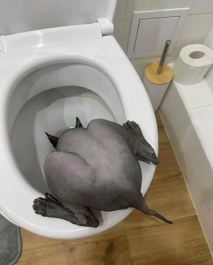���� �������� �� ����������, �� ��� ����� ��� �� ������?