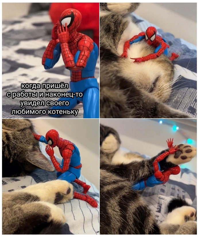 � �� �������� ��� �� ���