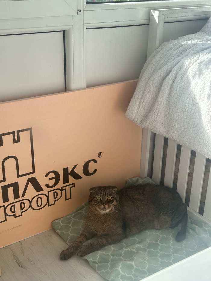 Арчи на 3-ий день пребывания в новом месте