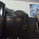 ����� ����� ������ ���� �����������