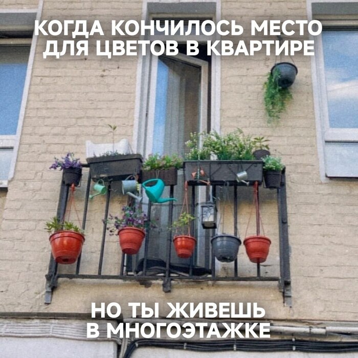 �������� �� �������