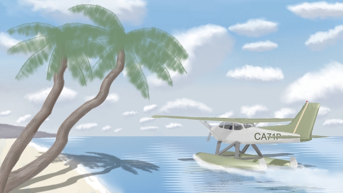 Cessna 172 amphibian, ��������� ������