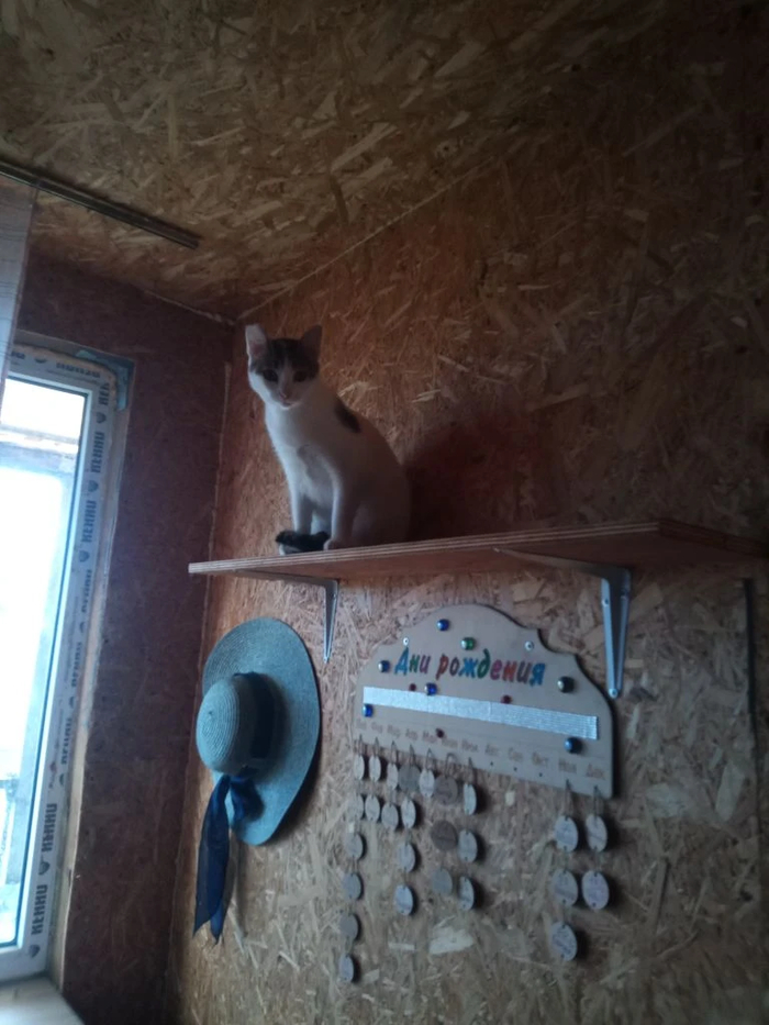 первая посетительницв (цветочек)