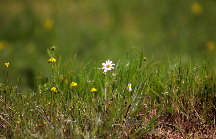 �������... ���������