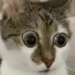 mousedriver