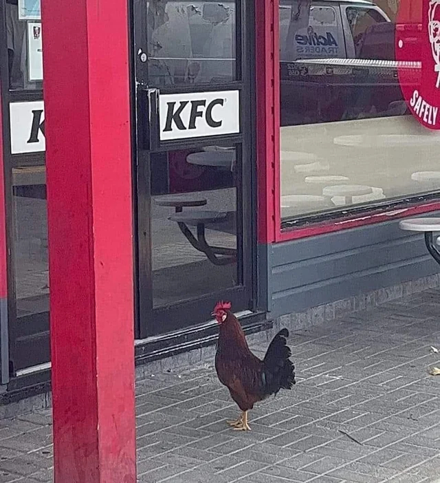 ����� ����� ������� �� �������� �����