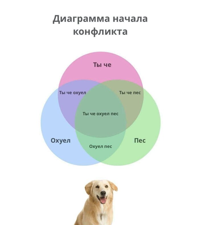 Ответ на пост «Директор "Белёвской пастилы"©»