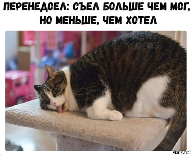 ������� ���� ������������