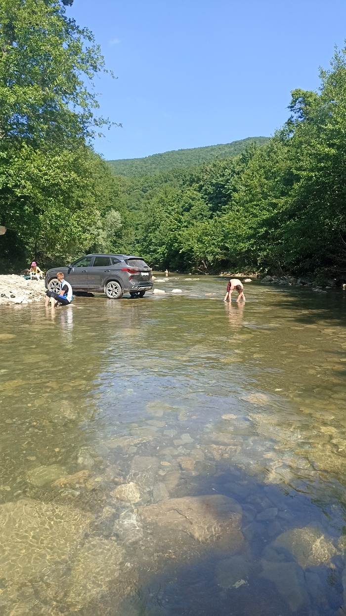 Осел на реке
