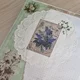 ����� ����� ������ ���� �����������