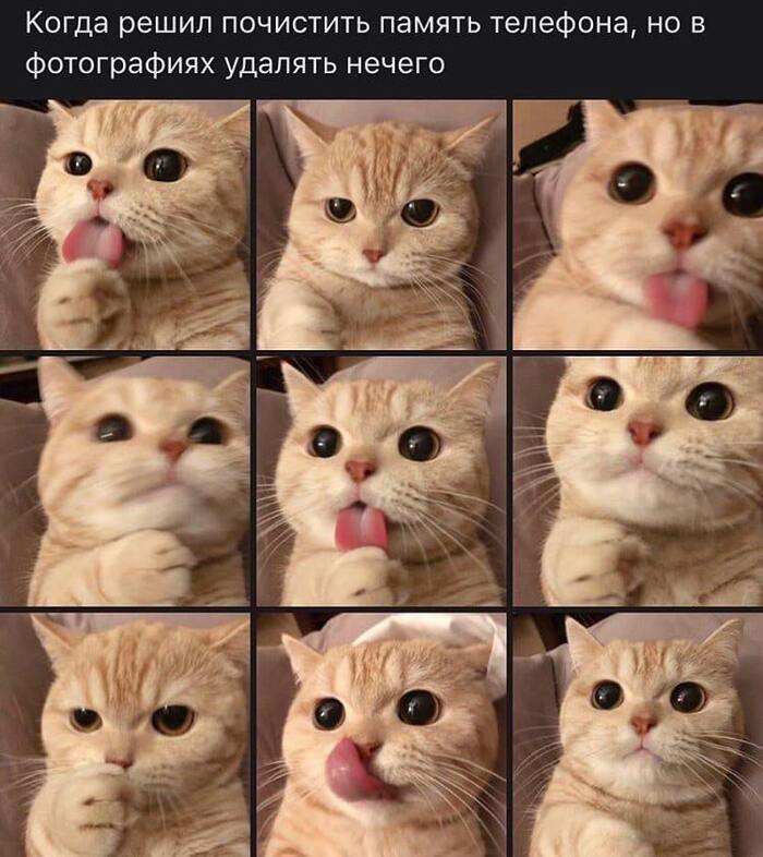 Та же фигня