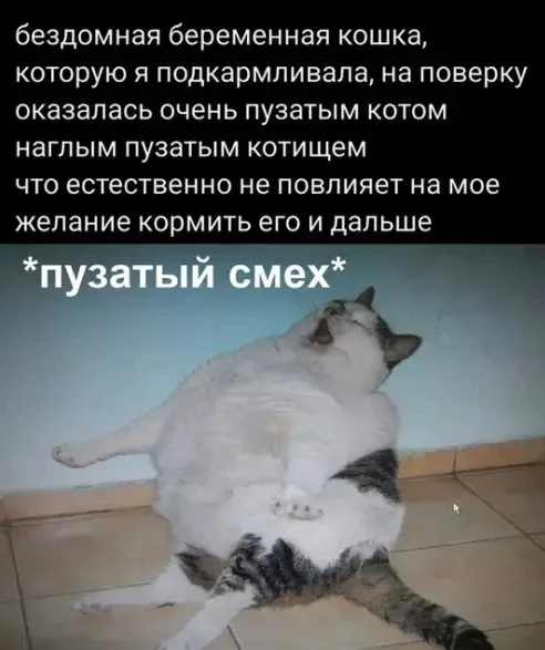 7qvexsyx.webp