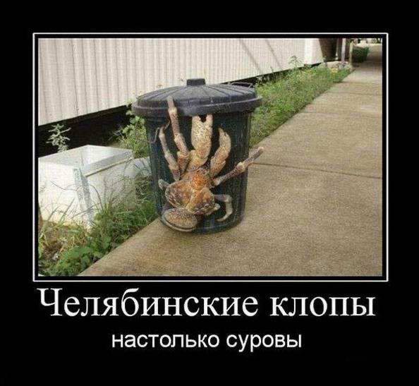 Боюсь челябинск все больше