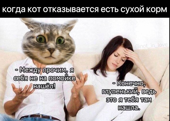 Я не голодный, я принципиальный