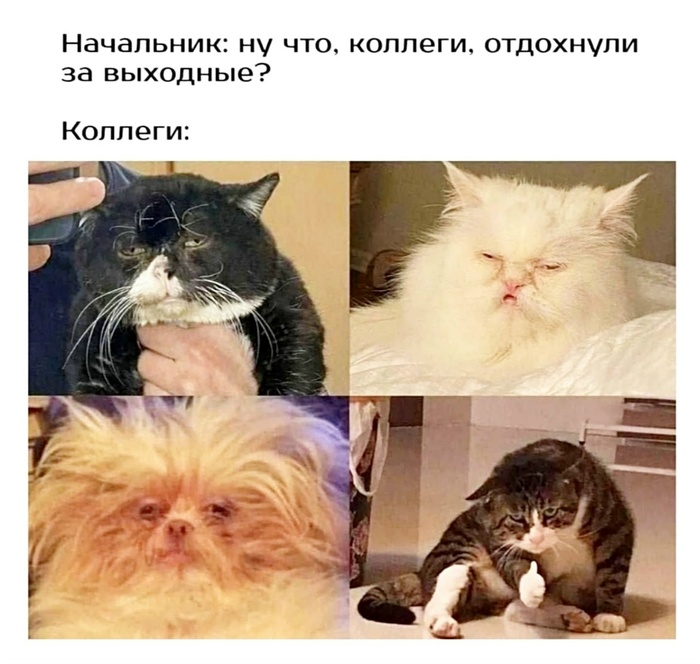 Юмор