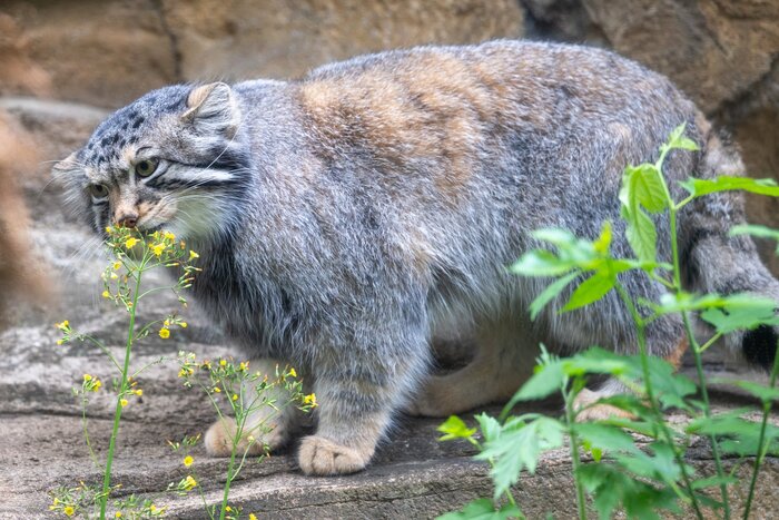 �������� ������