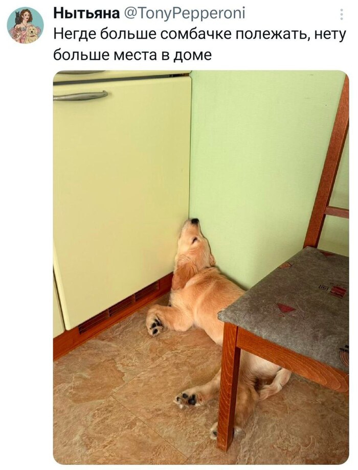 ��� ���������