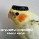 Аватар пользователя Kujbyshev.2835