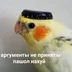 Kujbyshev.2835