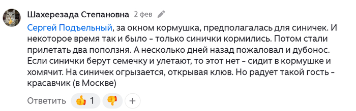 <!--noindex--><a href="https://pikabu.ru/story/raz_na_raz_korotkiy_boy_vorobya_protiv_dubonosa_14049621?u=https%3A%2F%2Fdzen.ru%2Fa%2FXWKmvz0AiACtYvCk%3Fysclid%3Dmq7okzmxgo759773714&t=https%3A%2F%2Fdzen.ru%2Fa%2FXWKmvz0AiACtYvCk%3Fysclid%3Dmq7okzmxgo75977371...&h=192129223070e5e526735aa2efb5a2a4d9fd77b6" title="https://dzen.ru/a/XWKmvz0AiACtYvCk?ysclid=mq7okzmxgo759773714" target="_blank" rel="nofollow noopener">https://dzen.ru/a/XWKmvz0AiACtYvCk?ysclid=mq7okzmxgo75977371...</a><!--/noindex-->