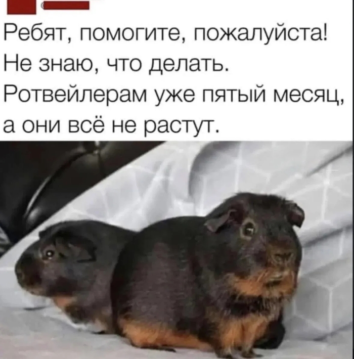 ��������!