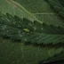 user11910464