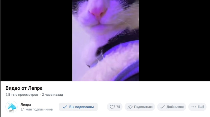 Вот так его видно при просмотре