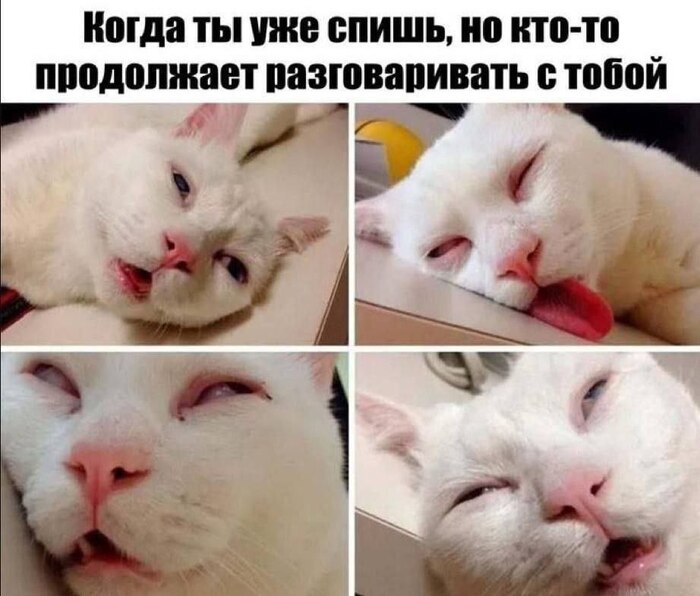 Когда ты уже спишь