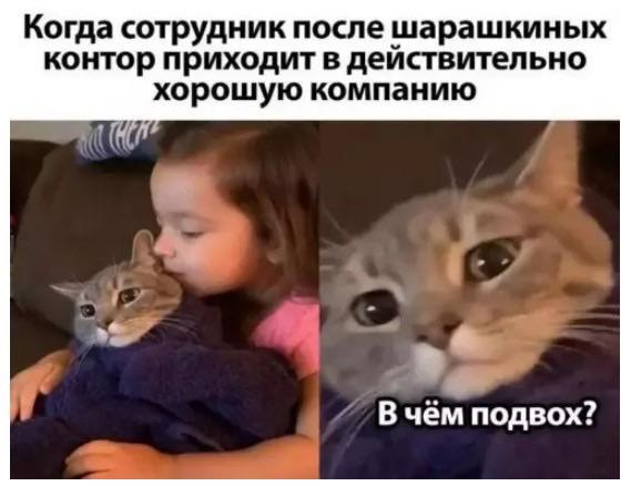 Подвох