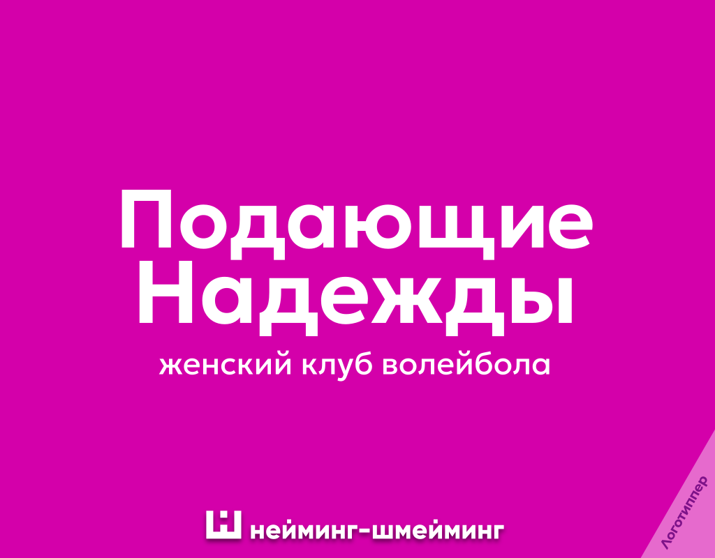 Game Naming-Shmeiming - My, Name, Humor, Design, Creative, The gods of marketing, Funny name, Tagline, Graphic design, Brands, Logo, Pun, Wordplay, Games, Sport, Longpost