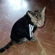 ����� ����� ������ ���� �����������