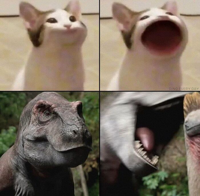 DED