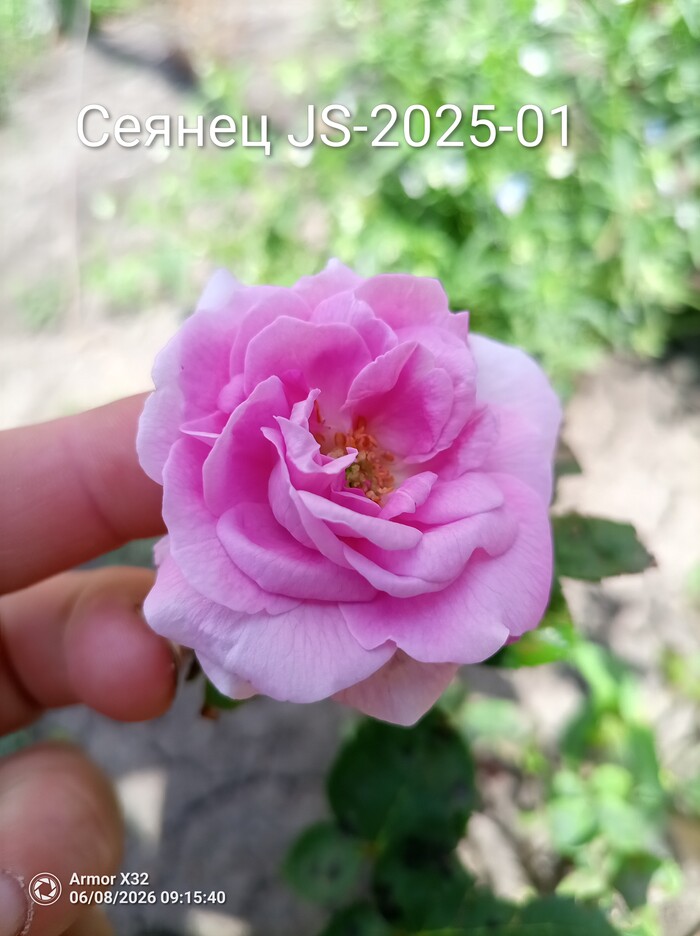 ��� ��� ��� ���� ������