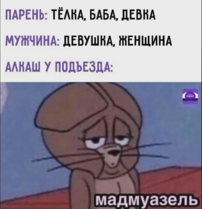 Казанова