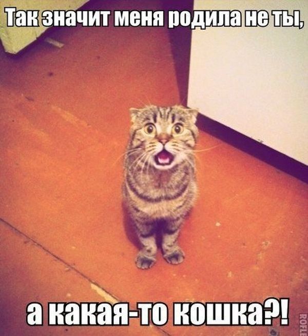 ��� �� � ������ � ���� ���� ����!?