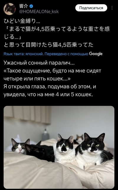 ����������� � �����������